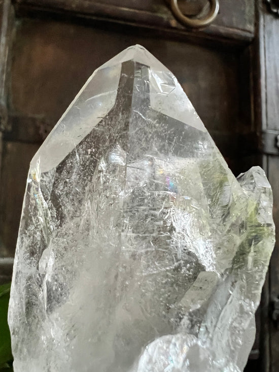 Beam Clear Quartz Plant Crystal