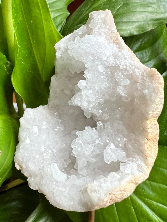 Blanca Moroccan Geode Plant Crystal