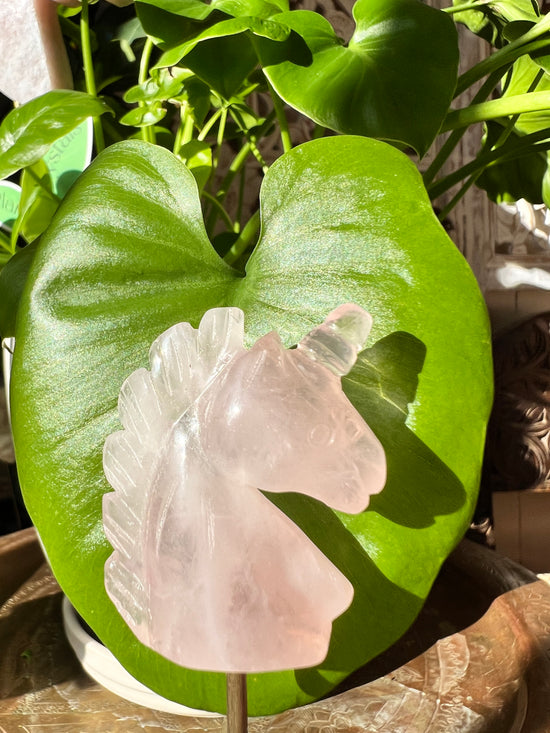 Rosey Unicorn Plant Crystal