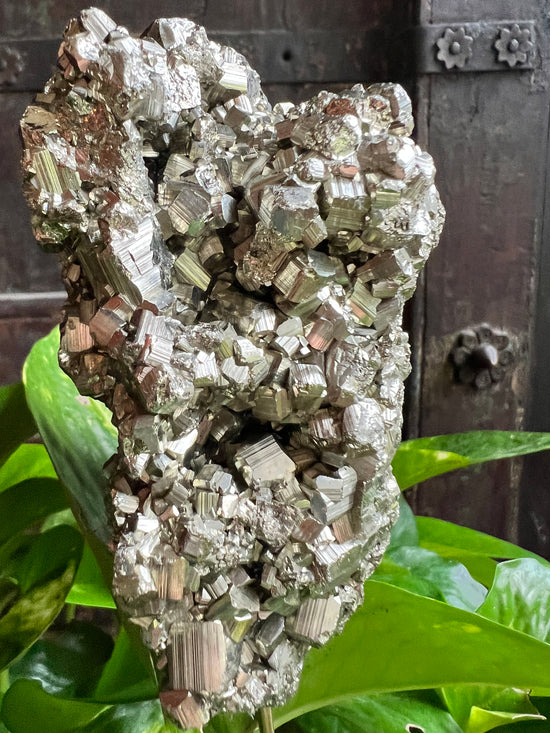 Large Brilliant Pyrite Agate Plant Crystal