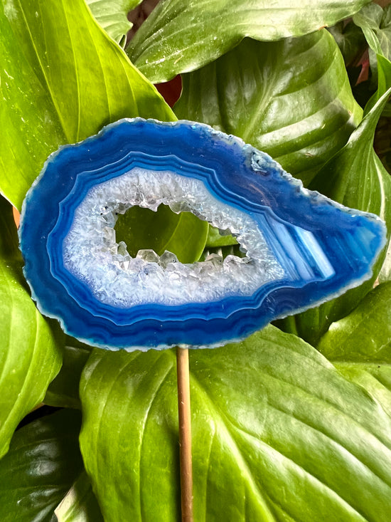 Depth Agate Plant Crystal