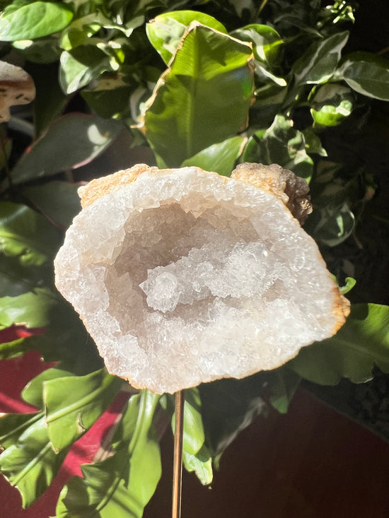 Ewok Moroccan Geode Plant Crystal