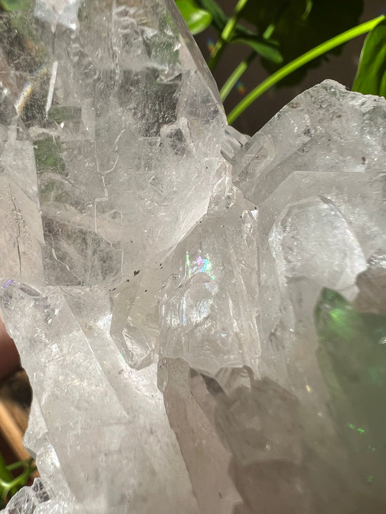 Mystiqal Quartz Cluster Plant Crystal