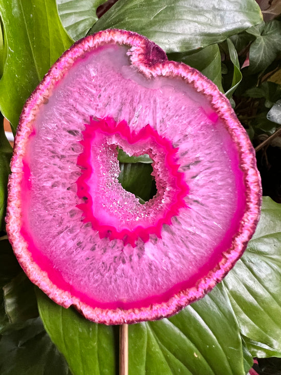 Awakening Agate Plant Crystal