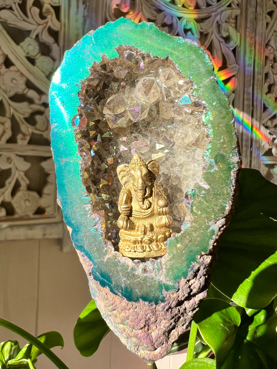 Ganesha’s Temple Angel Aura Geode Plant Crystal