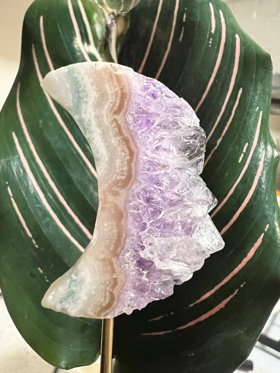 Enchanted Pink Amethyst Plant Crystal