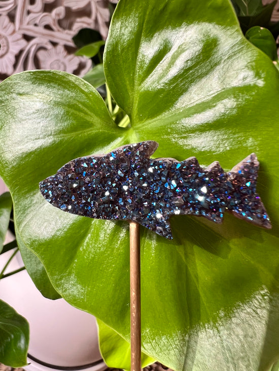 JAWS Angel Aura Plant Crystal