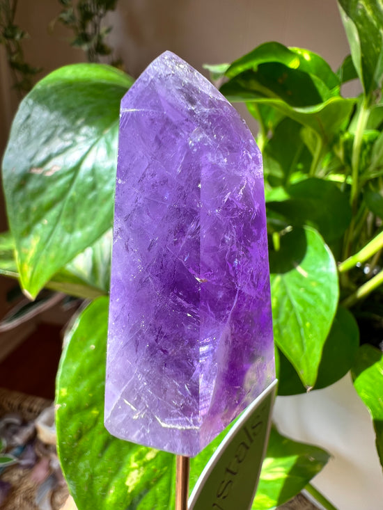 Happy Amethyst Plant Crystal