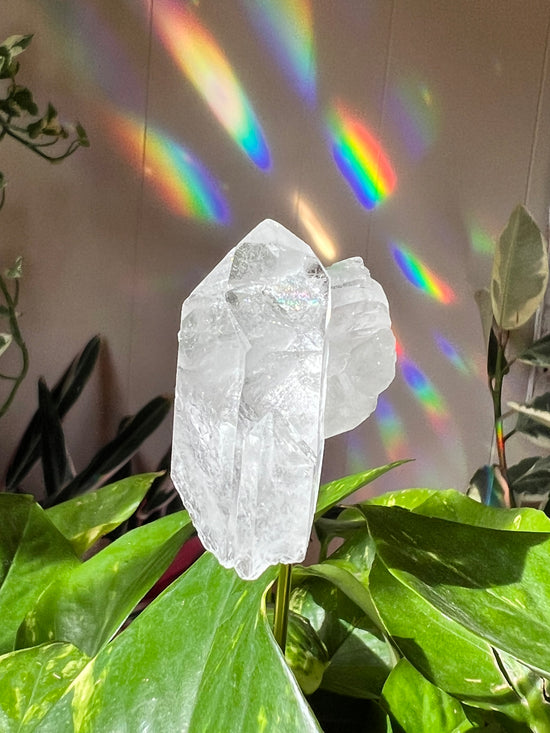 Heartfelt Clear Quartz Plant Crystal