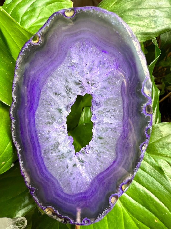 Agate Plant Crystal