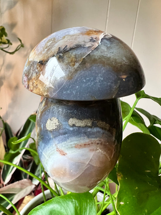 Universe Ocean Jasper Mushroom Plant Crystal