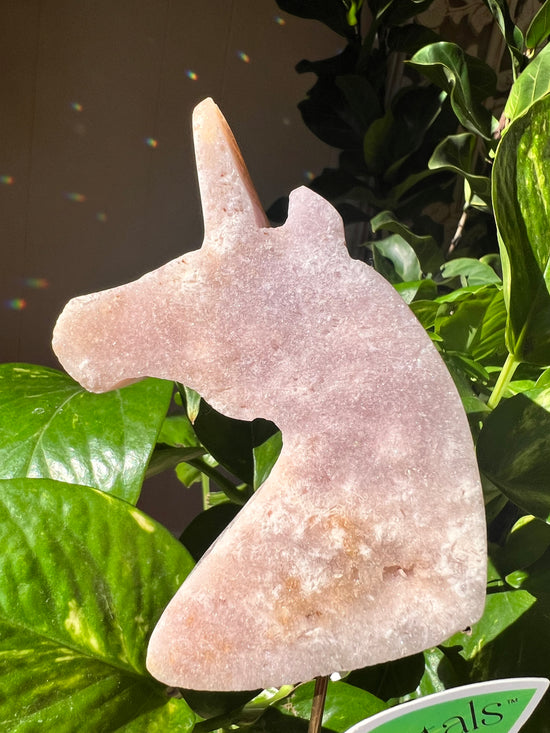 Dreamer Unicorn Plant Crystal