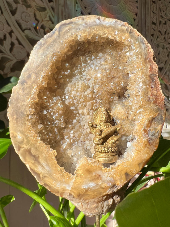 Saraswati’s Temple Aura Geode Plant Crystal