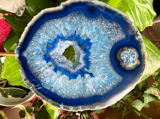 Into the Blue Agate Plant Crystal