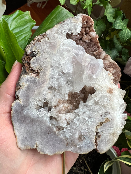 Pink Amethyst Slab Plant Crystal