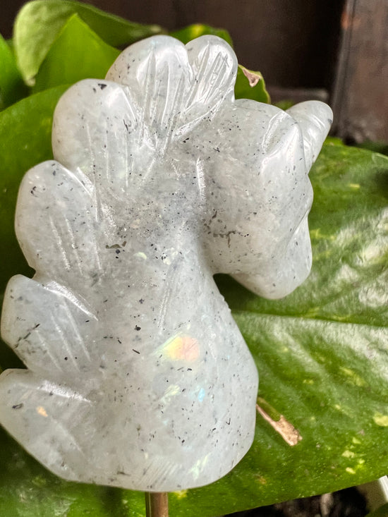 Magic Unicorn Plant Crystal