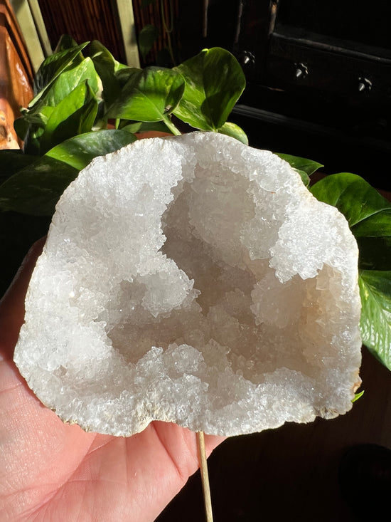 Shrine Moroccan Geode Plant Crystal