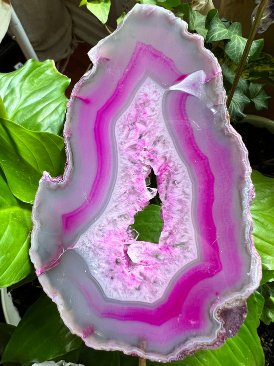 Orchid Agate Plant Crystal