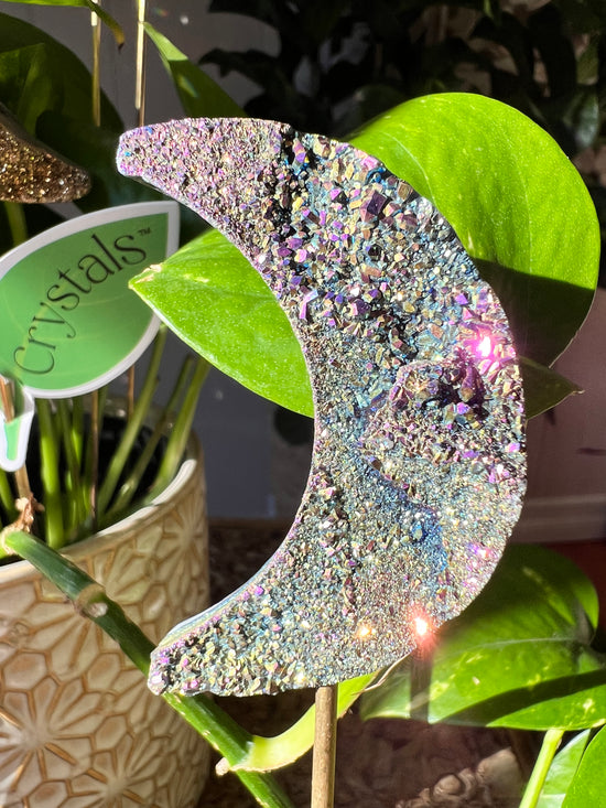 Spectrum Moon Plant Crystal