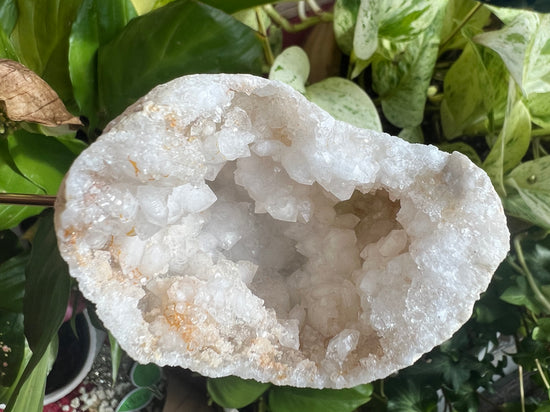 Glorious Moroccan Geode Plant Crystal