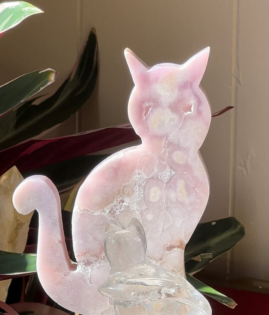 Sekhmet XL Cat Plant Crystal