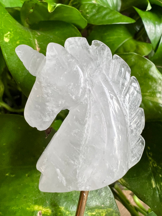 Purity Unicorn Plant Crystal