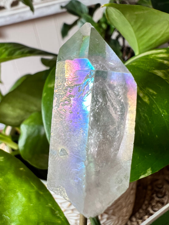 Serenity Angel Aura Plant Crystal