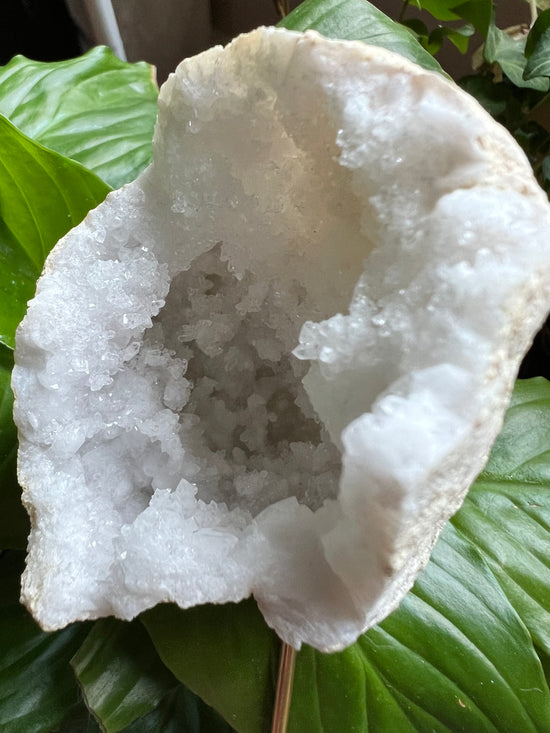 Goody Moroccan Geode Plant Crystal