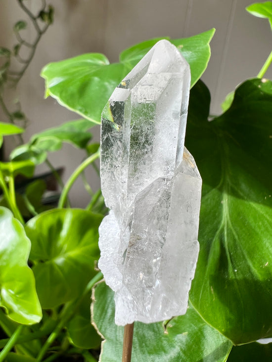 Lightning Clear Quartz