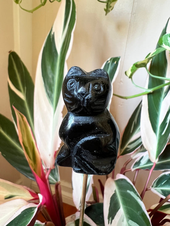 Lucky the black onyx cat Plant Crystal