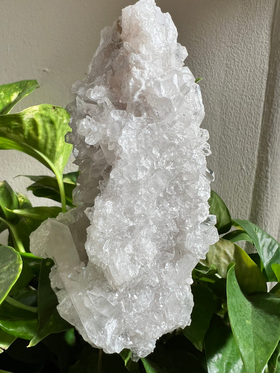 Akashic Clear Quartz Cluster