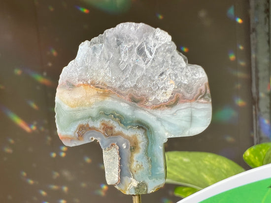 Over the Rainbow Mushroom Plant Crystal