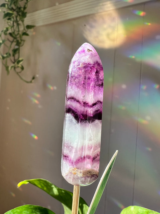 Joyful Journey Fluorite Tower Plant Crystal