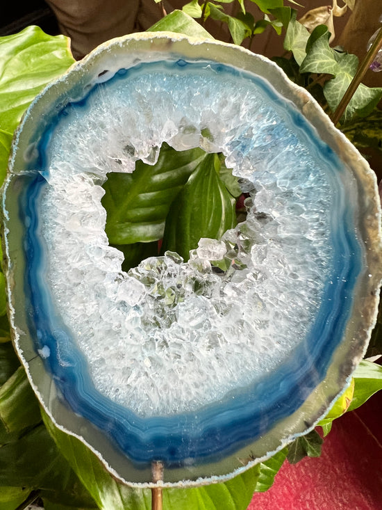 Mist Agate Plant Crystal